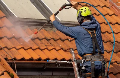 Démoussage et hydrofuge de toiture à Plasnes